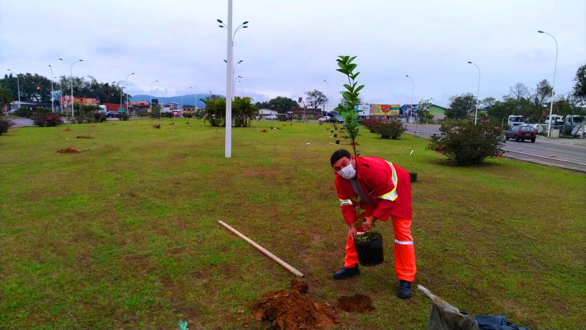 Navegantes promove ações de arborização para uma cidade com responsabilidade ambiental