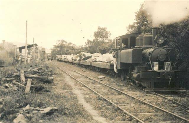 Ferrovia foi fundamental para construção do molhe Norte. Crédito: Arquivo Público de Itajaí