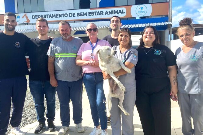 Navegantes cria a primeira secretaria exclusiva de cuidado animal de Santa Catarina