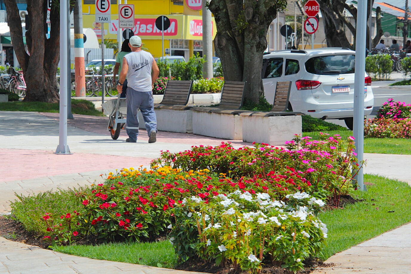 paisagismo transforma as ruas de Navegantes