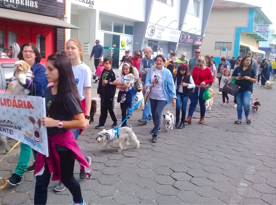 Cãominhada une tutores e pets contra maus-tratos em Navegantes