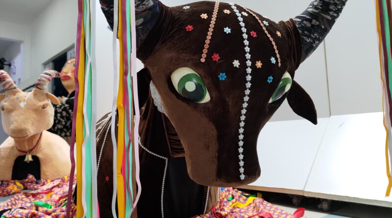 Temos que valorizar a cultural local