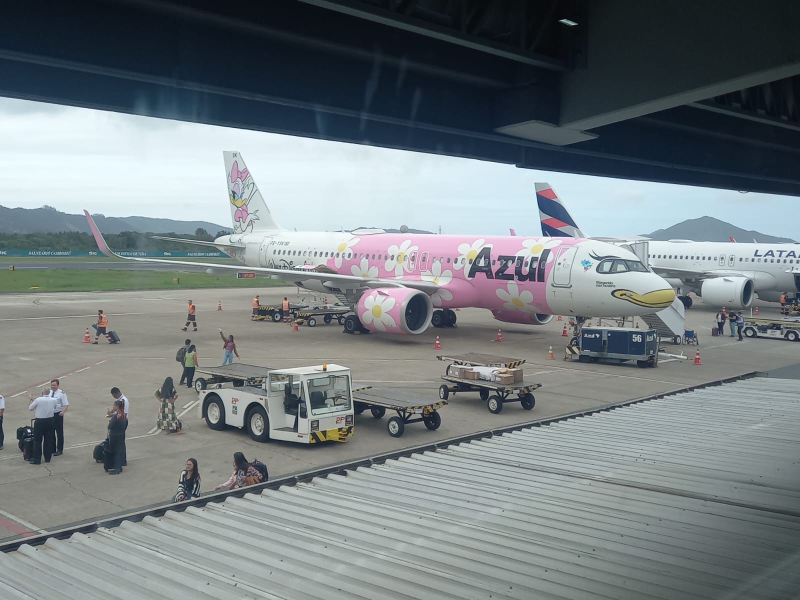 Azul amplia operações em Navegantes e na capital na temporada