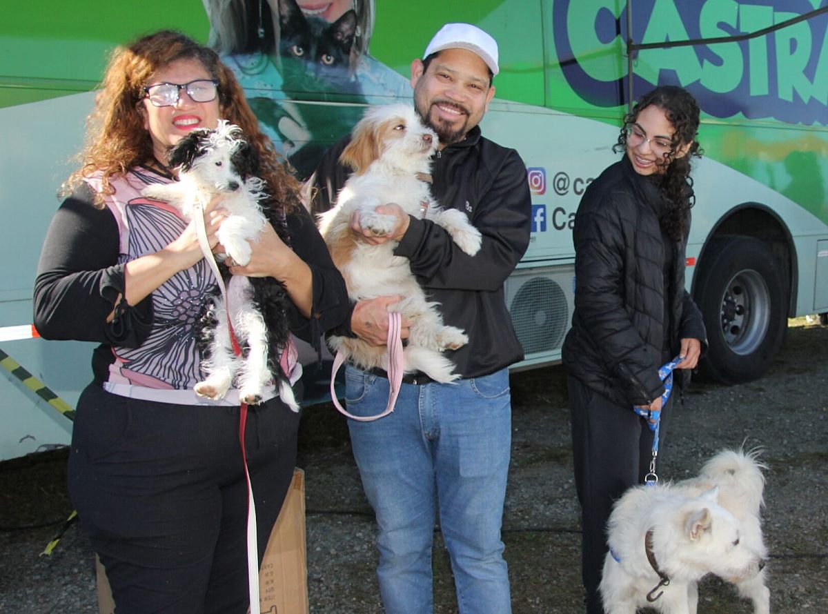 Nesta sexta tem castração gratuita de animais em Navegantes