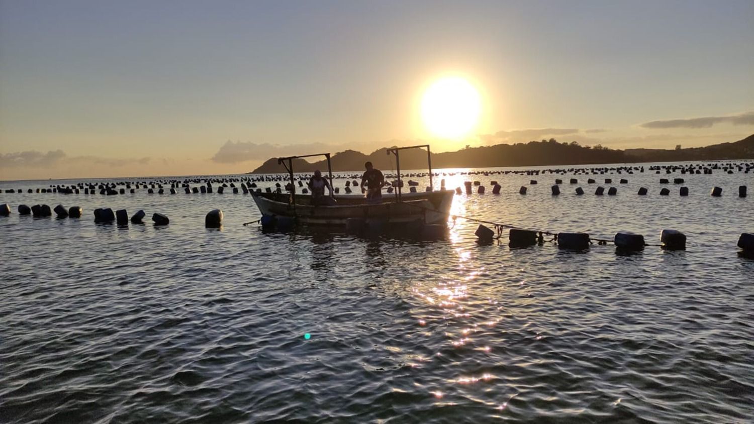 Penha é a terceira maior produtora de mariscos do Brasil
