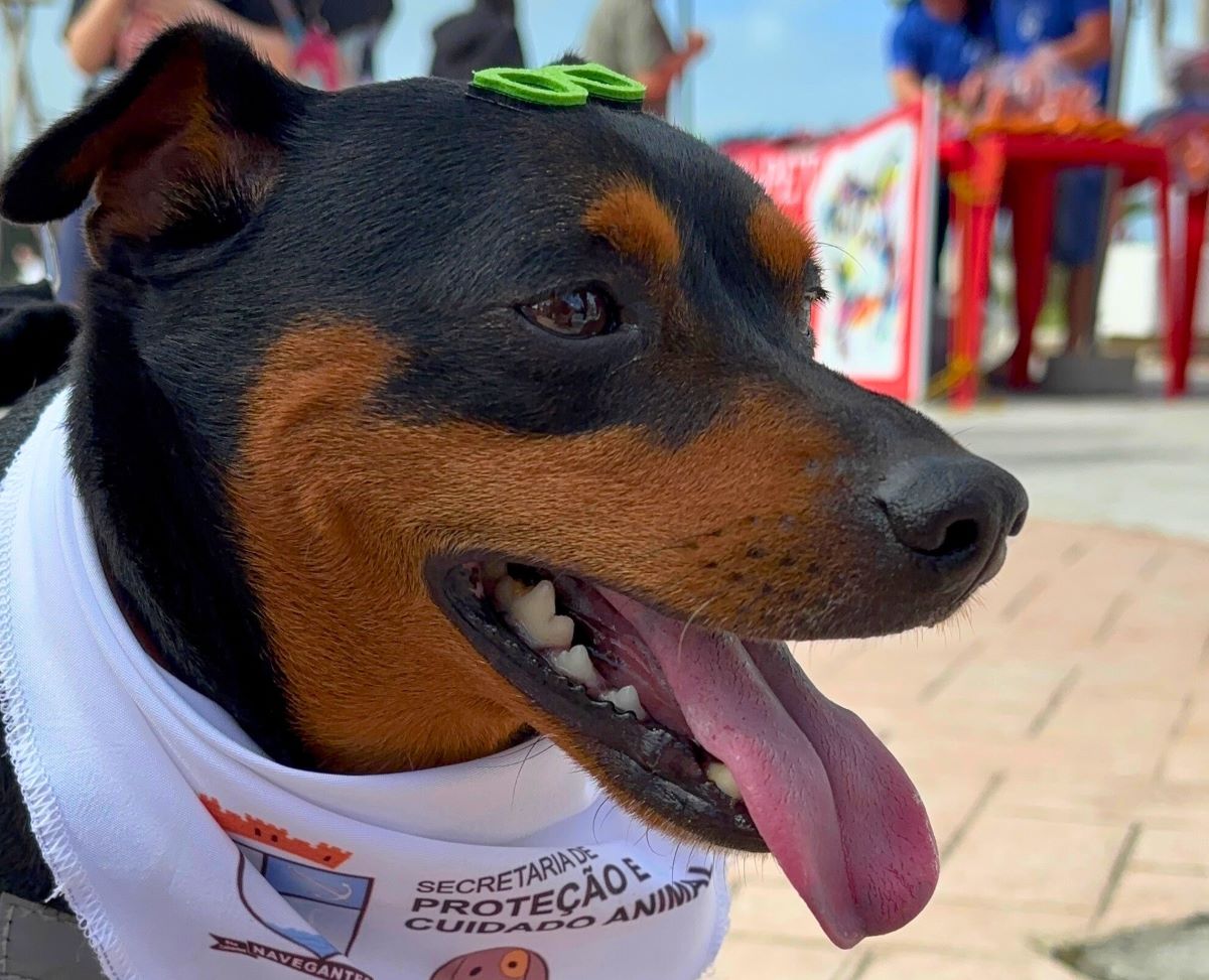 Domingo acontece o encontro dos AUmigos em Navegantes
