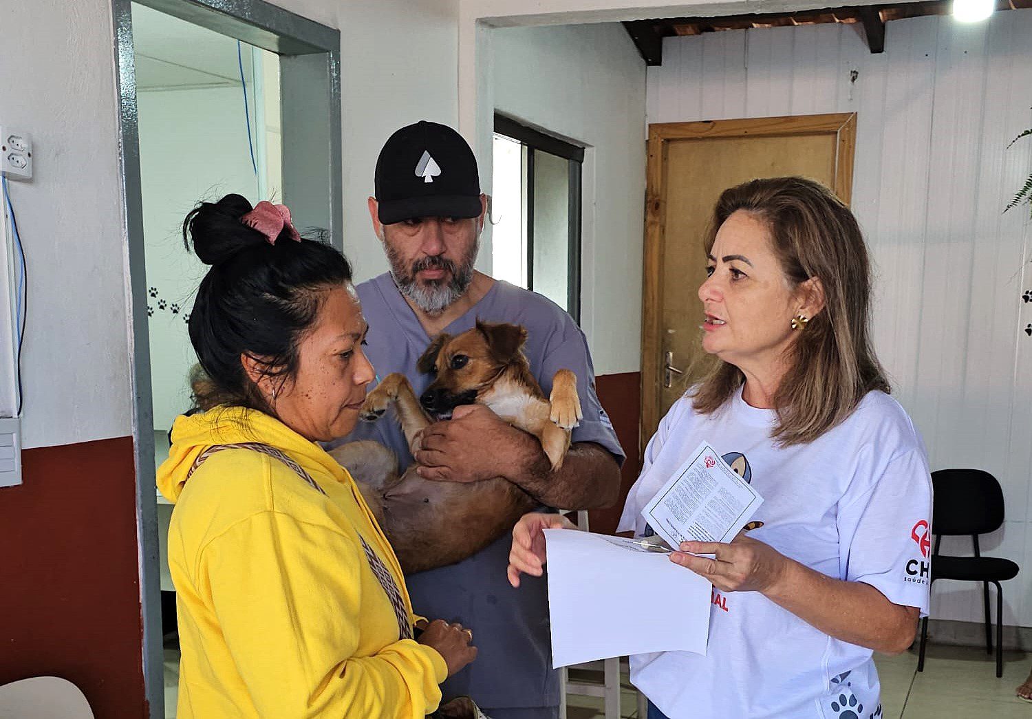 Navegantes promove mutirão gratuito de castração para cães e gatos