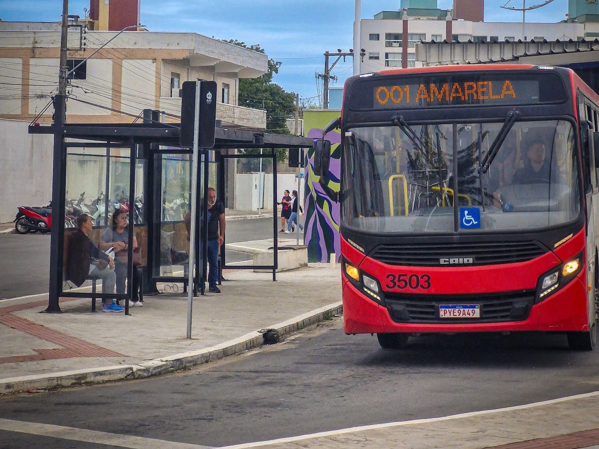 Serviço atende aos principais bairros da cidade com frotas adaptadas; saiba quais são as linhas, os horários de partida e onde tirar dúvidas sobre o serviço.