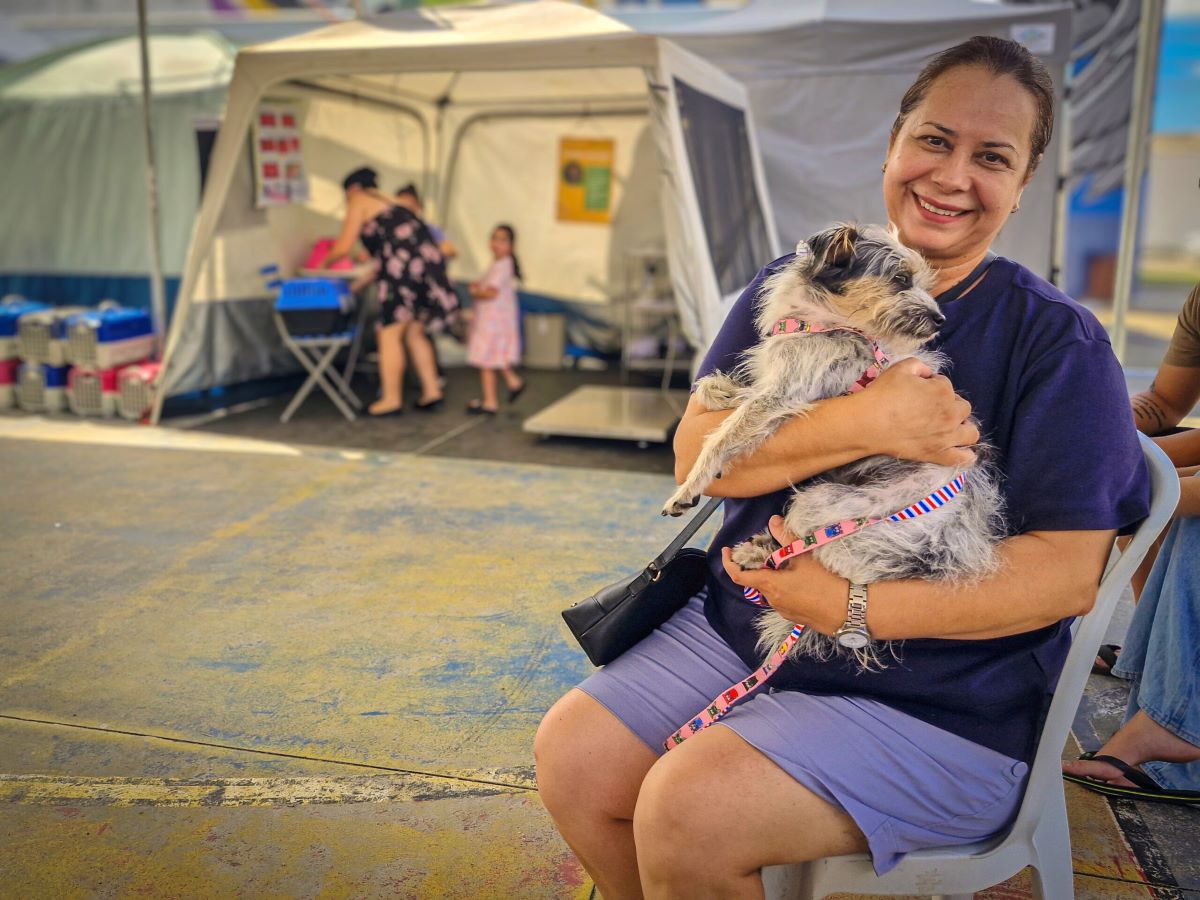 Gravatá recebe mutirão de castração gratuita de cães e gatos neste mês